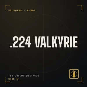 Boîte à cartouches .224 Valkyrie - VelMat3D