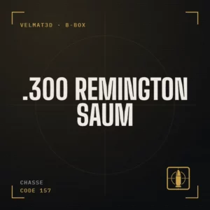 Boîte à cartouches .300 Remington SAUM - VelMat3D
