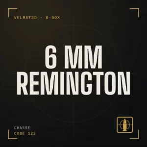 Boîte à cartouches 6 mm Remington - VelMat3D